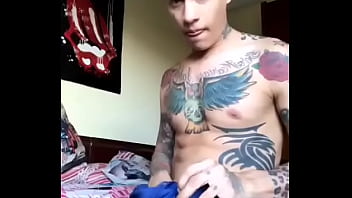 Alepaisa Mostrando Verga