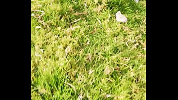 Spy, Gay, Negro - Gay - 2025 - Passionate - Experience - Video 3677930