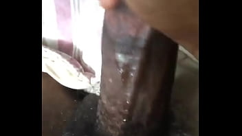 Shemale, Philly, Pussy-wet - Shemale - 2025 - Passionate - Scene - Video 3462859