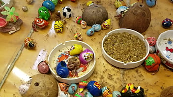 Rica Panocha Mexicana - mexicana, mi-ruca - Video 3742279