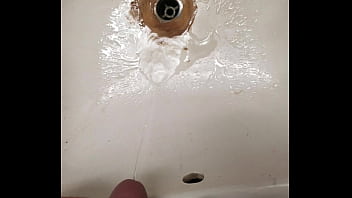 Toilet And Sink Pee
