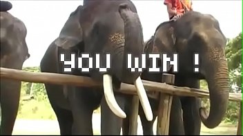 My Wild And Crazy Week In Pattaya Was A Pussy-smashing Success!