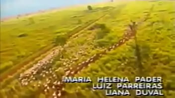 As Boiada Safada, Com O Neg_o Sedutor