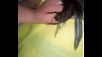 Só No Caneco Do Karol