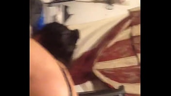 Sunshine Mac Bbw Latinna Wife Shaking Her Big Ass And Sucking Dick