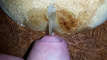 Camiel' Teddy Swallows His Pee