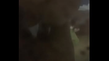 Pussy, Big-ass, Kenyan - Femdom - 2025 - Amazing - Scene - Video 3645837