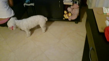 Se Le Ve La Tanga - latina, culo, tanga, nalgona - Video 3639791