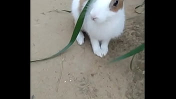 Cheatgirl At Her Badroom Fuck