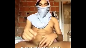 Novinho Pau Grande....