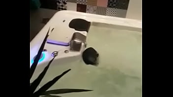 Pinto, Mostrado-o-pau, Pau-rads - Unknown - 2025 - Wild - Session - Video 3688536