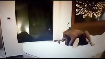 Teluguwife With Bull