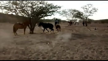 Olá Segue O Boleto De Aluguel Para Pagamento De Sua