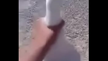 Porn, Sex - Unknown - 2025 - Incredible - Show - Video 3679068