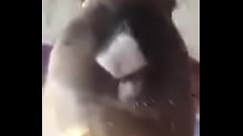 Día Del Platano Full Hd (conejita Come Platano)