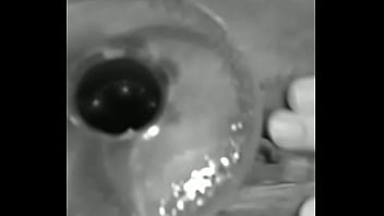 Aliendivines Black And White