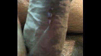 Precum...todo Para Ti