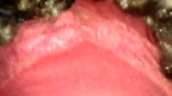 Semen En La Cara - shemale, travesti-de-closet-bien-puta, travesti-goloza, travesti-de-closet-puta - Video 3575957