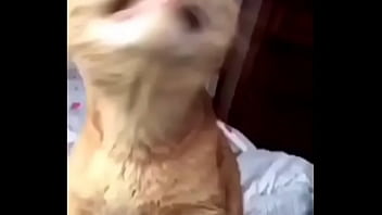 Pussy, Wow, Fun - Femdom - 2025 - Amazing - Experience - Video 3643945