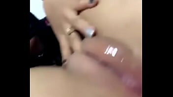 Mexico, Puebla - Unknown - 2025 - Wild - Session - Video 3531442