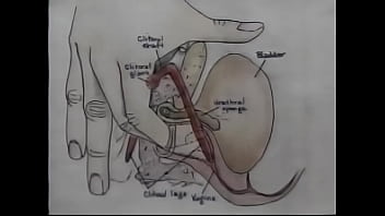 Sex Education Orgasm Training Video