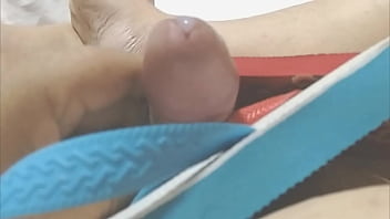 Para Meu Amigo Pronau