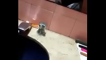 Guilherme Faria Gostoso