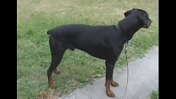 Proper Examination Of Her Sweet Youthful Bawdy Cleft Goes Well