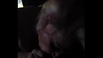 Pawg Relentlessly Sucks Bbc