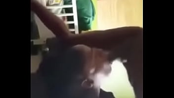 Girl Sucking Whole Dick