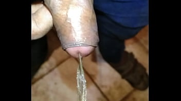 Shemale, Pissing, Soloboy - Shemale - 2025 - Amazing - Show - Video 3543495