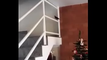 Vitinho Putasso Com O Passarinho Kkkkk