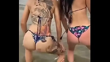 Gatas Dançando E Rebolando De Bikini