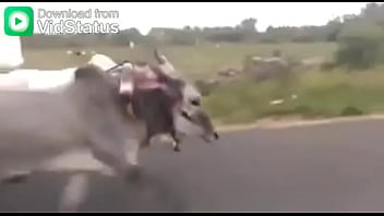 Ghg, Vbvb - Unknown - 2025 - Hot - Show - Video 3500672