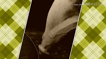 Diva Dick American Won