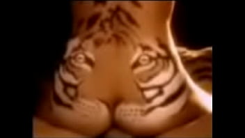 Tiger - Unknown - 2025 - Wild - Session - Video 6374046