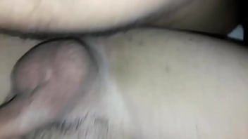 Dando Pro Casado Urso