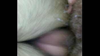 Peludos Transando Brazil