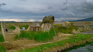 Sdsd, Sdsdsd - Unknown - 2025 - Wild - Performance - Video 3483100