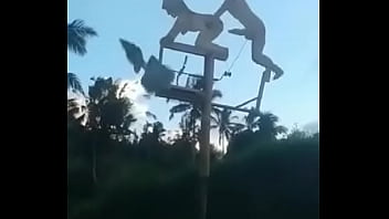 Sex, Pussy, Hardcore, Cock - Femdom - 2025 - Sexy - Session - Video 3593481