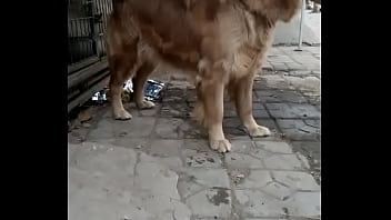 Squirt, Dick - Squirting - 2025 - Hot - Scene - Video 3505298