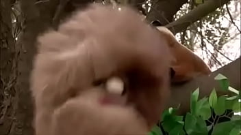 Padre Se Coge Al Hijo