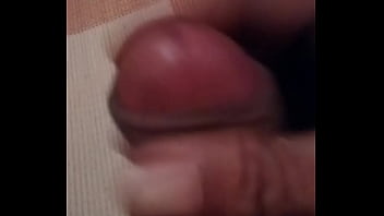 Lima Pinheiro Santa Quitéria