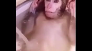 Fuck, Anal-sex, Gay-amateur - Unknown - 2025 - Wild - Session - Video 3290931