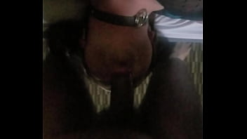 Cd Slurps Draco Black