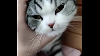 Chinese, Zaix - Asian_woman - 2025 - Intense - Session - Video 3507414