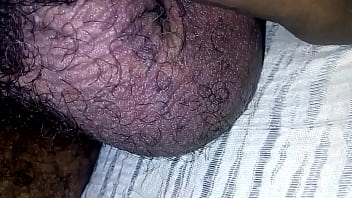 Bolas Com Vida Própria