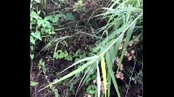 Bot hẹn top bú cu