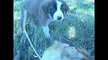 Unknown - 2025 - Amazing - Experience - Video 6581962