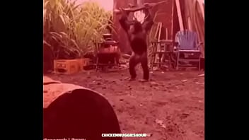 Vasco Se Prend Alexis Par Le Cul